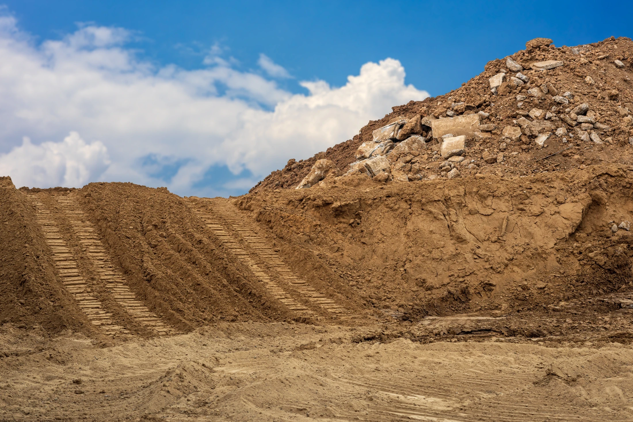 Vegetation management landscape